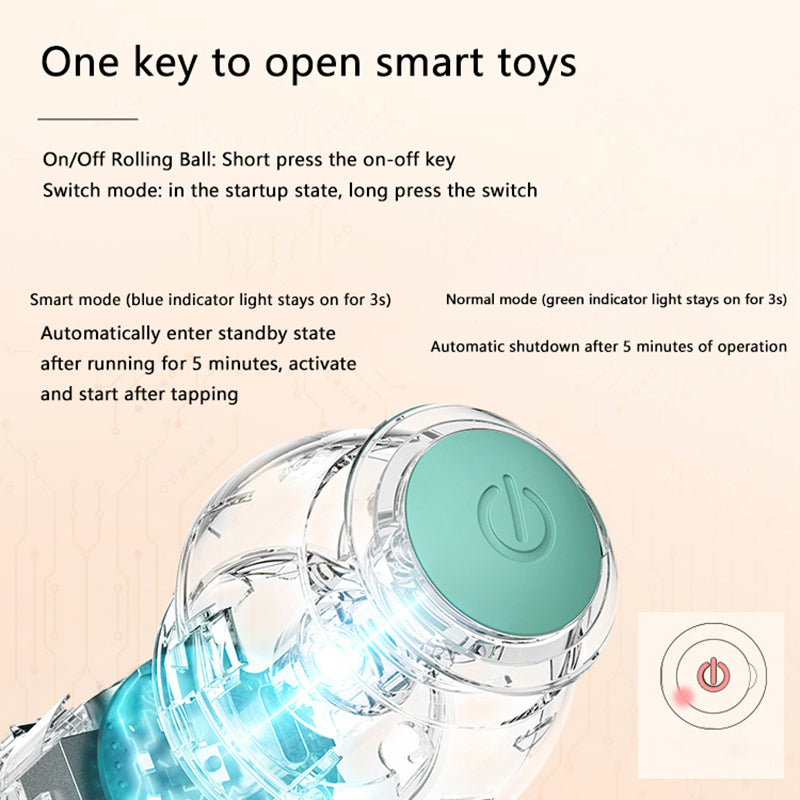 Automatic Interactive Pet Ball