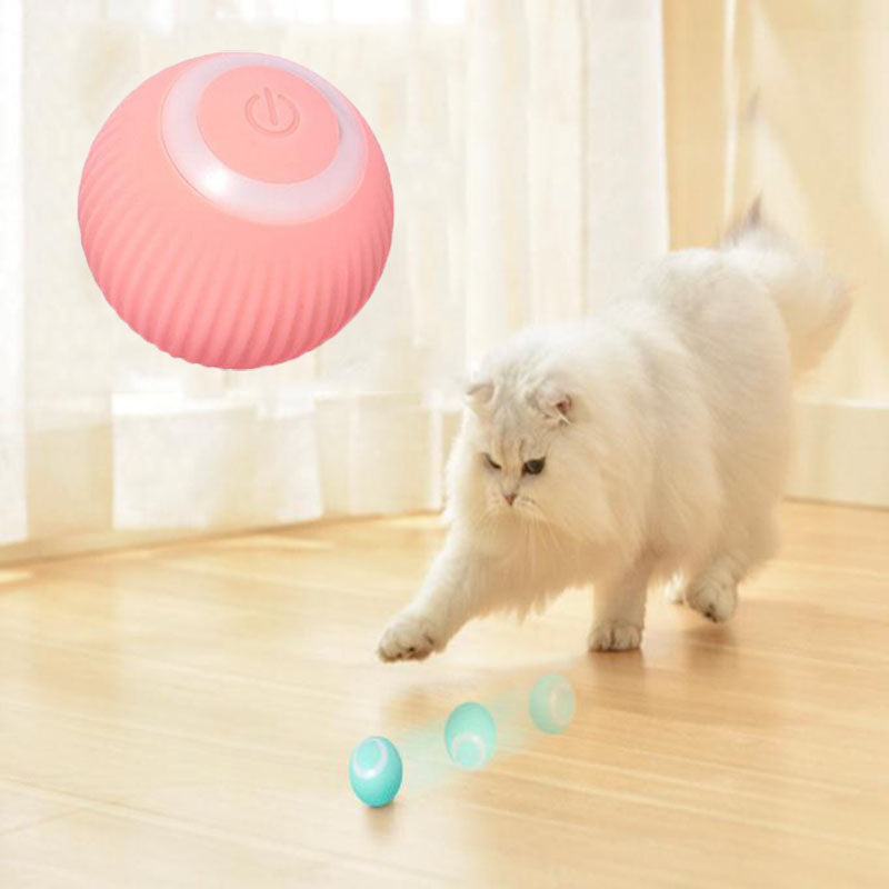 Automatic Interactive Pet Ball
