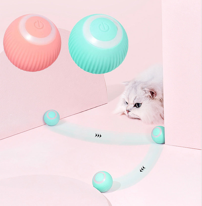 Automatic Interactive Pet Ball