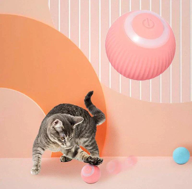 Automatic Interactive Pet Ball