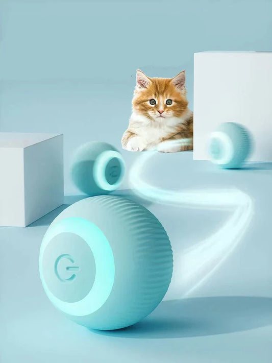 Automatic Interactive Pet Ball
